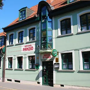 Bacchus Panzió Panzió